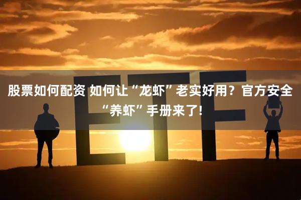 股票如何配资 如何让“龙虾”老实好用？官方安全“养虾”手册来了!